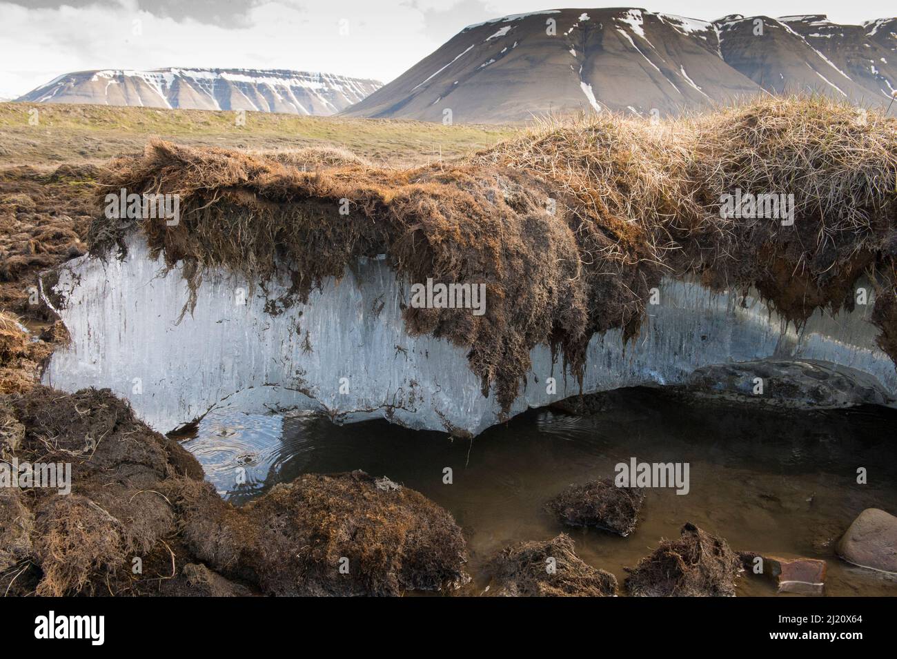 Exposed melting permafrost in the arctic archipelego of Svalbard ...