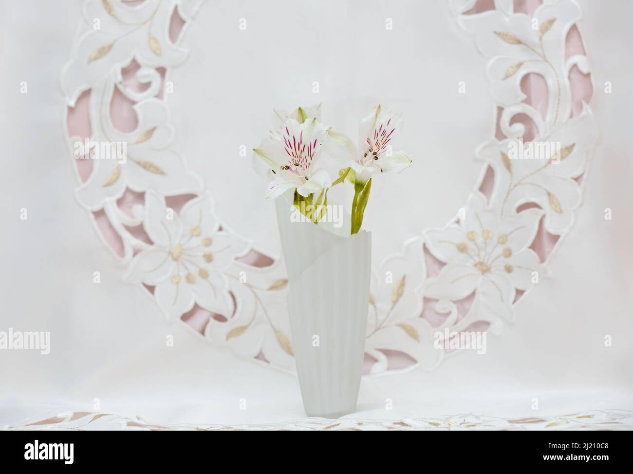 Beautiful Peruvian lily in glass vase Stock Photo