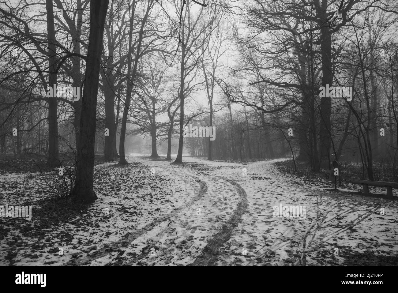 Empty road sunset Black and White Stock Photos & Images - Alamy