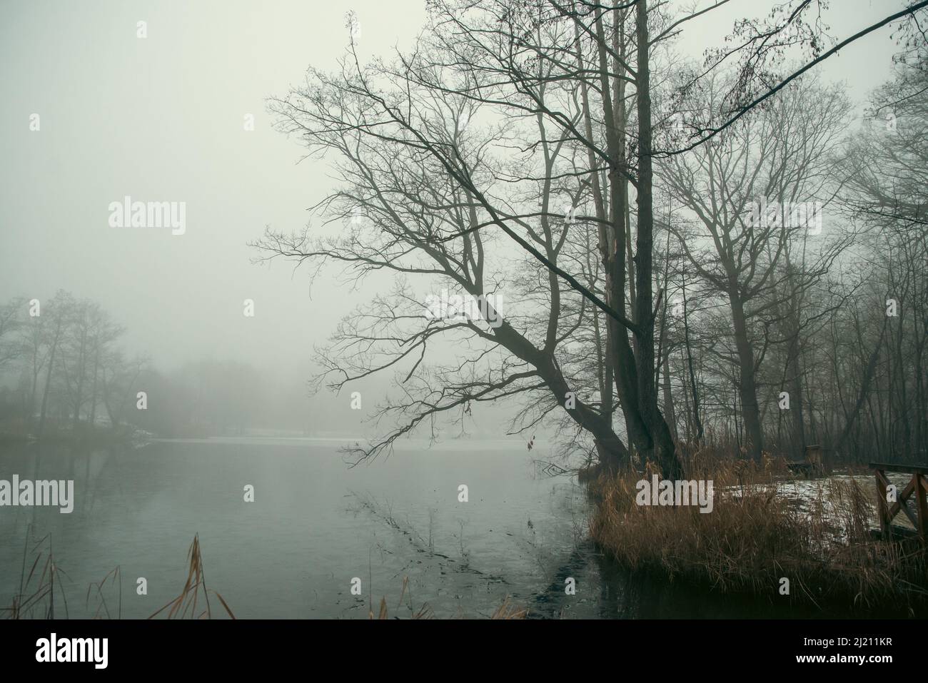 Panorama fog poor visibility hi-res stock photography and images - Alamy