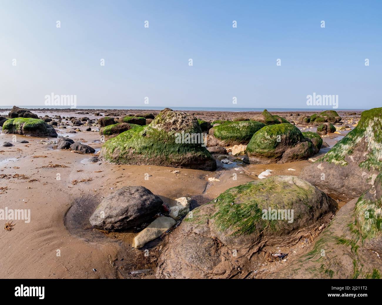 Ultra wide angle fisheye hi-res stock photography and images - Alamy