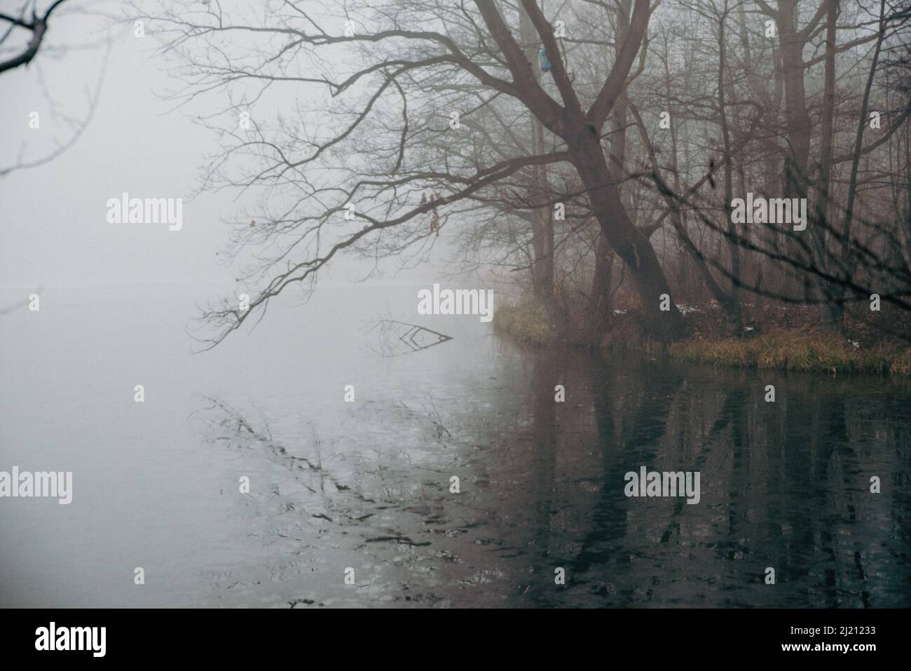 Panorama fog poor visibility hi-res stock photography and images - Alamy
