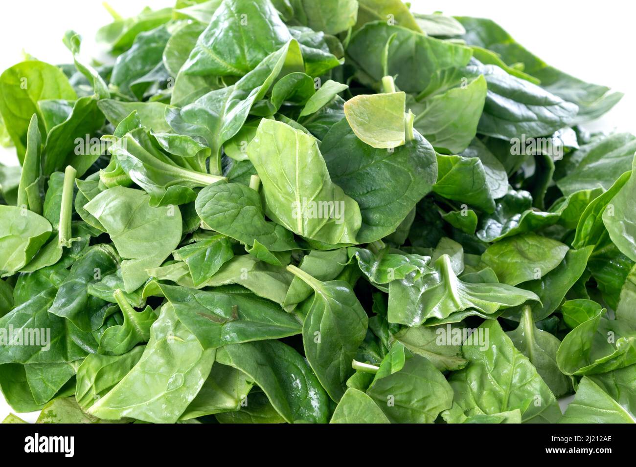 Pile of fresh green baby spinach leaves isolated on white background ...