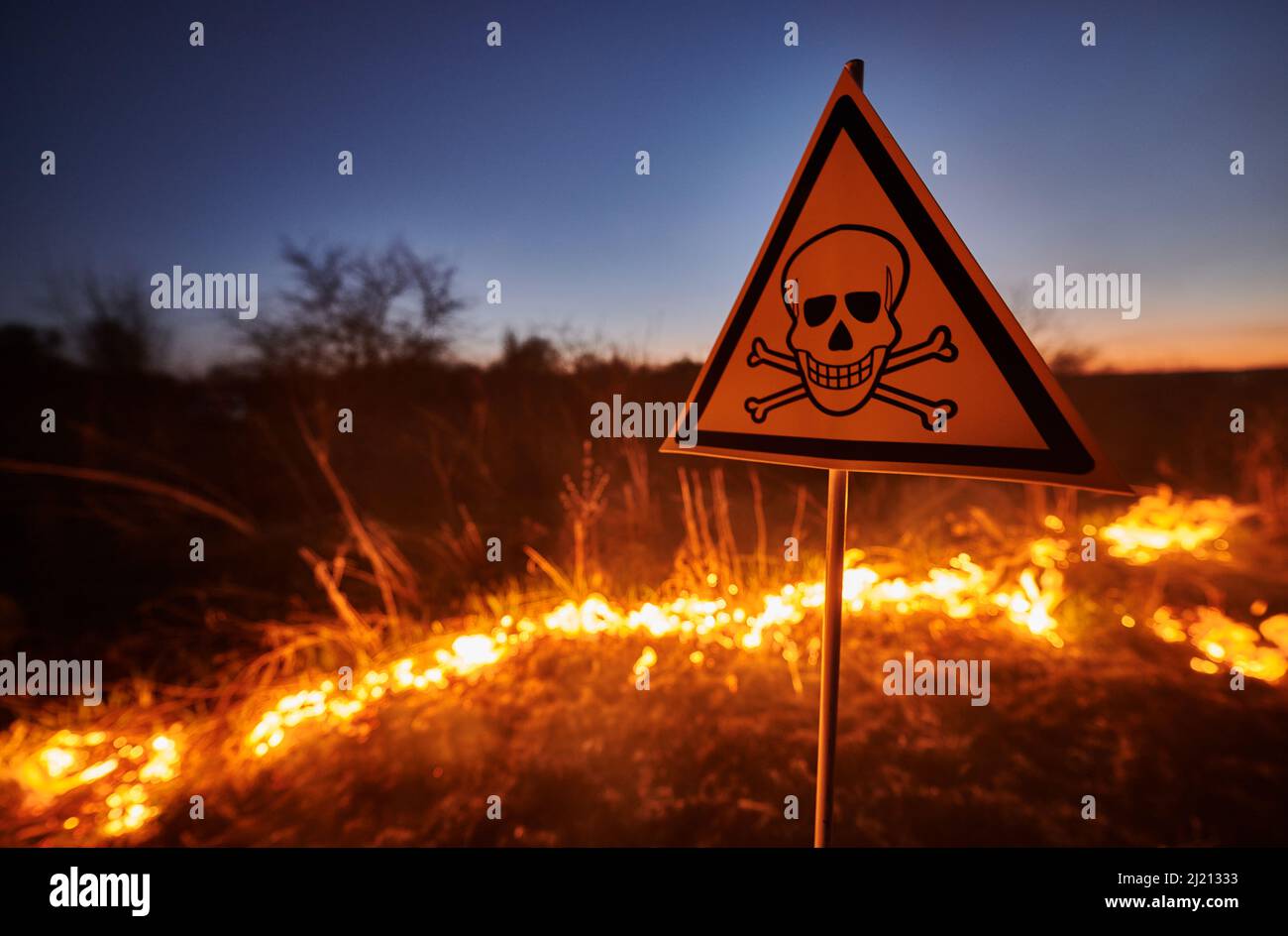 Burning dry grass and poison toxic sign at night. Yellow triangle with