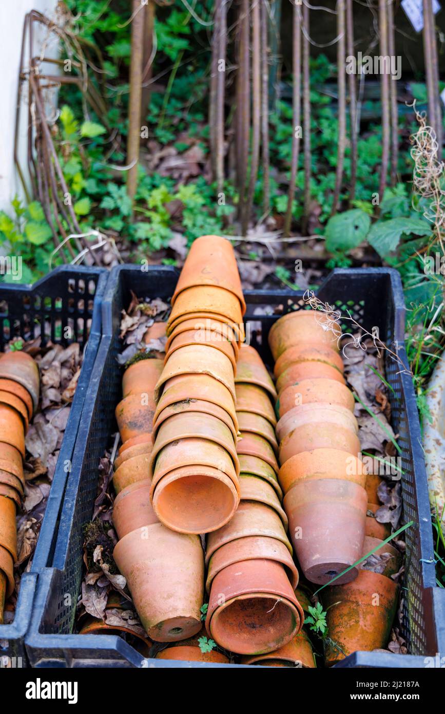 A pile of old-fashioned traditional terracotta earthenware flowerpots in a tray stacked together, in Hungerford, a market town in Berkshire, England Stock Photo