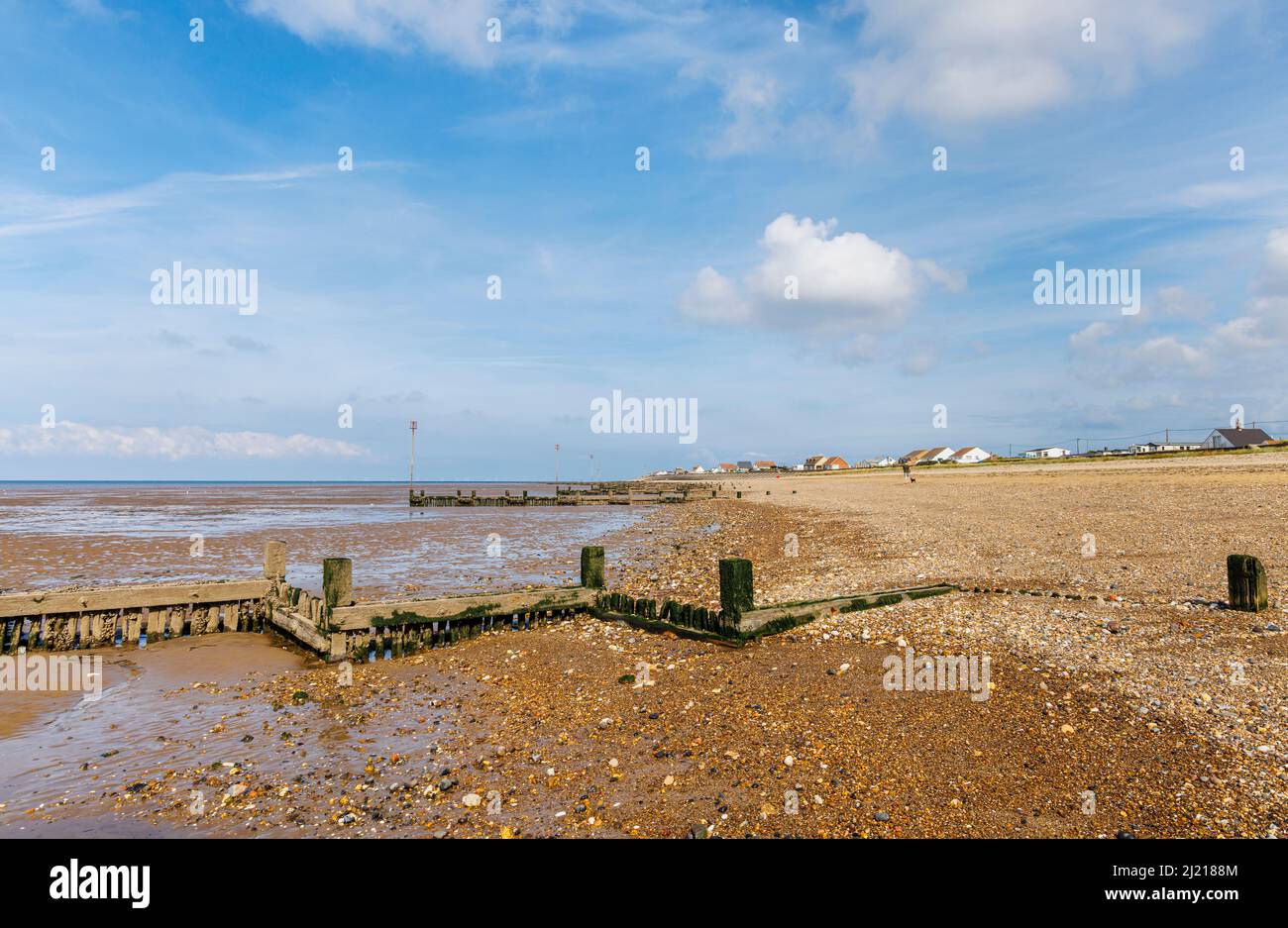 Waethered vintage barnacle encrusted wooden groynes on a beach at low tide on the foreshore at Heacham, west Norfolk, England, overlooking The Wash Stock Photo
