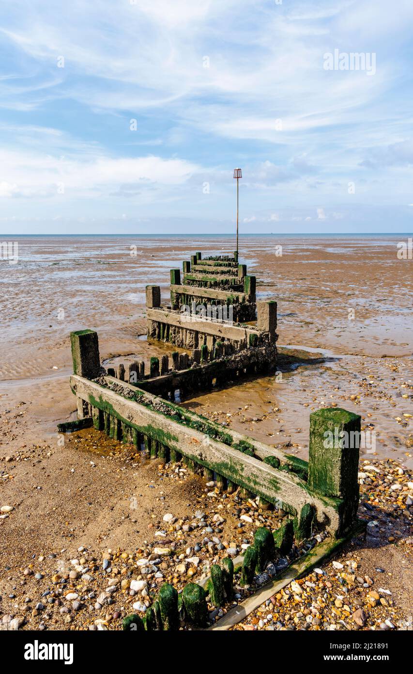 Encrusted and weathered old wooden groyne on the beach at low tide on the foreshore at Heacham, west Norfolk, England Stock Photo