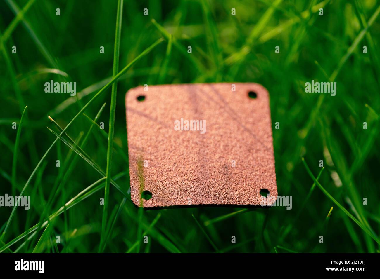 Top view of frame made of green spring grass and one brown leather patch for sale with copy space for logo. Natural concept. Stock Photo