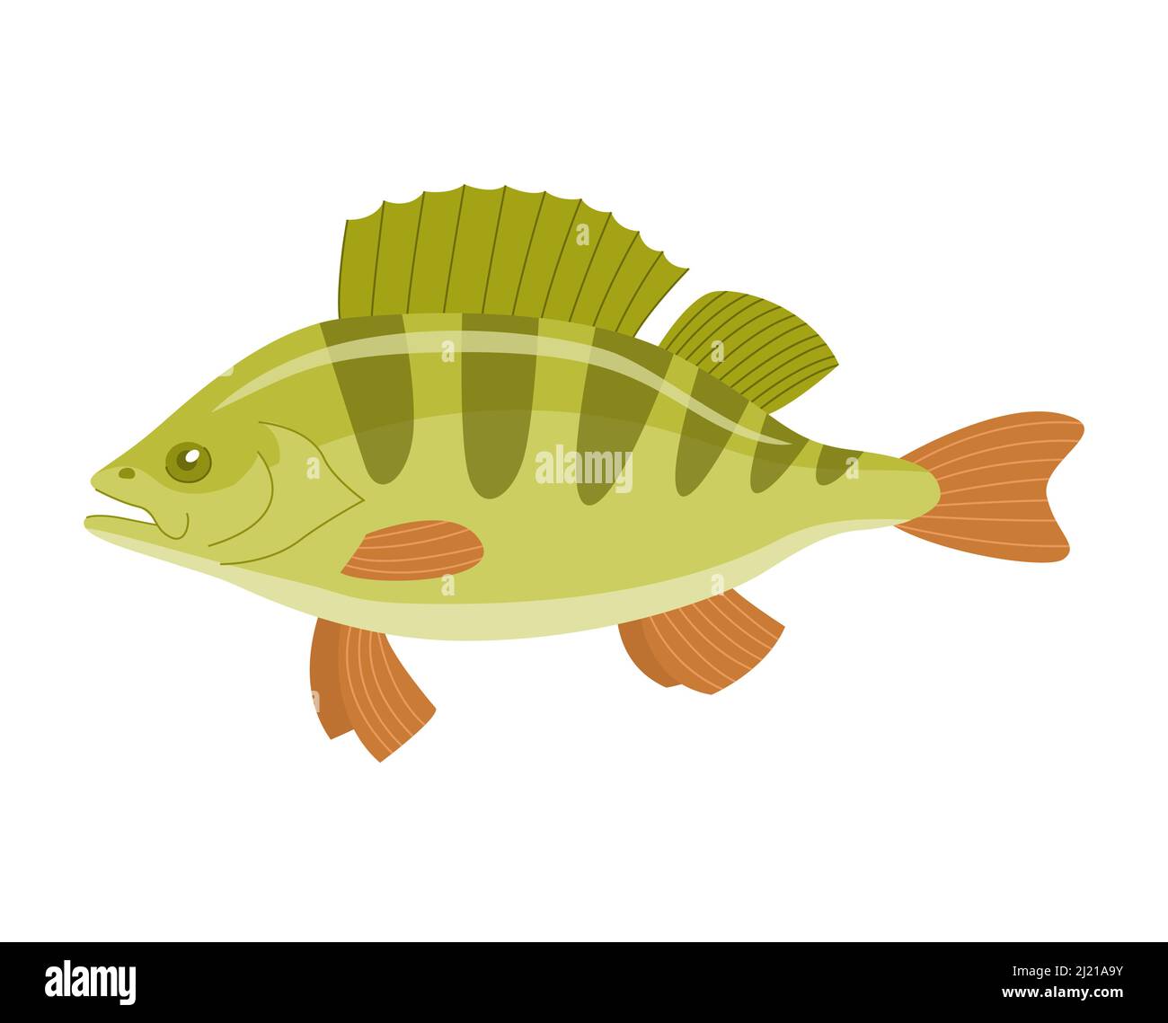 River fish perch. Cooking delicious food. Underwater life. Cartoon