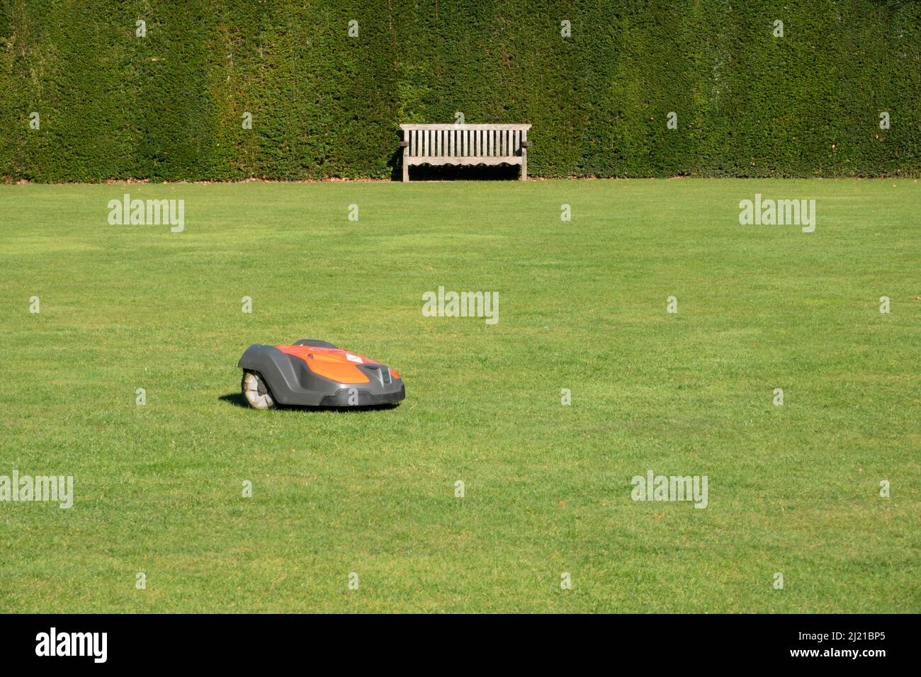 A robotic lawn mower cutting grass Stock Photo