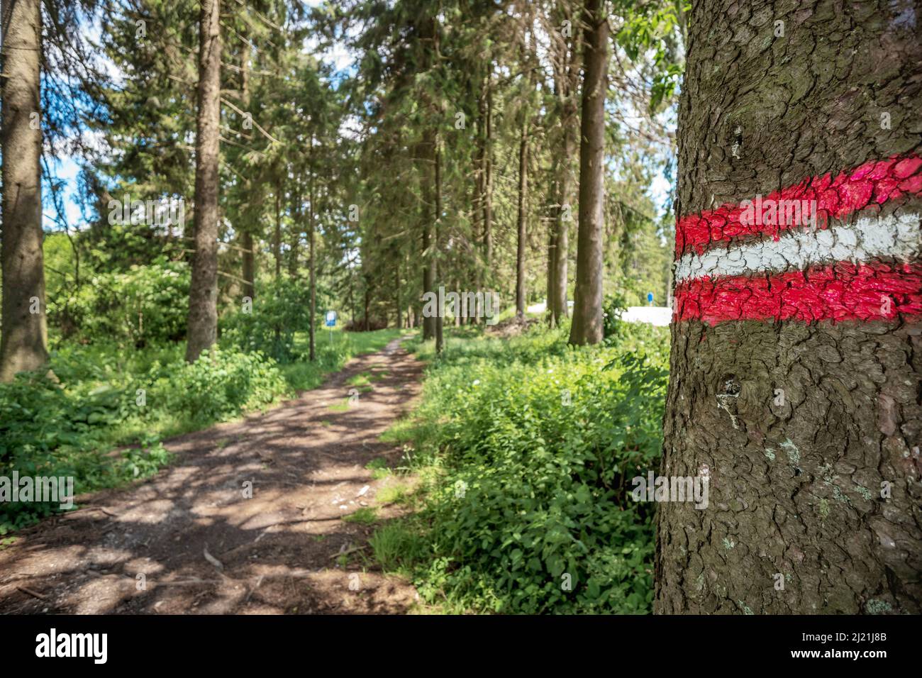Hiking sign on a tree trunk in forest, Austria Stock Photo