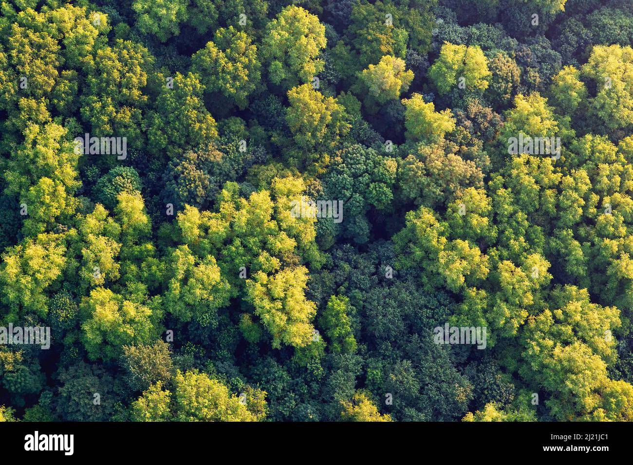 Westhoek nature reserve hi-res stock photography and images - Alamy
