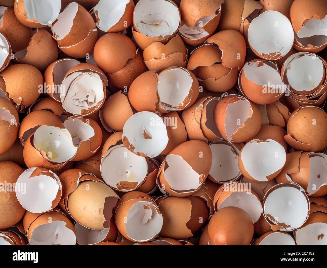 Lots of empty egg shells Stock Photo Alamy