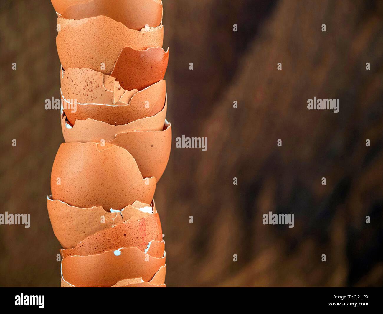 Pile empty egg shells Stock Photo Alamy