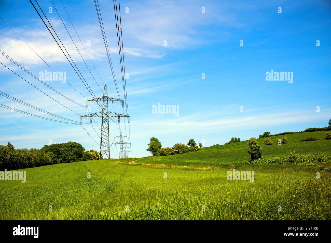 Pylons in a green meadow, Symbol for green current, Austria Stock Photo