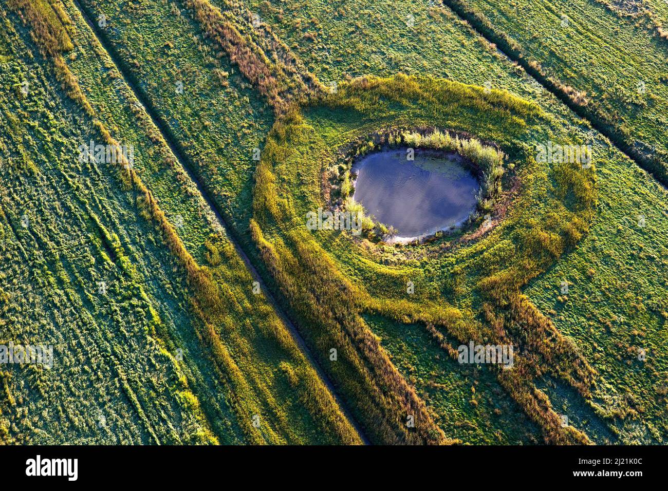Waterhole in a field, aerial view, Belgium, Flanders Stock Photo