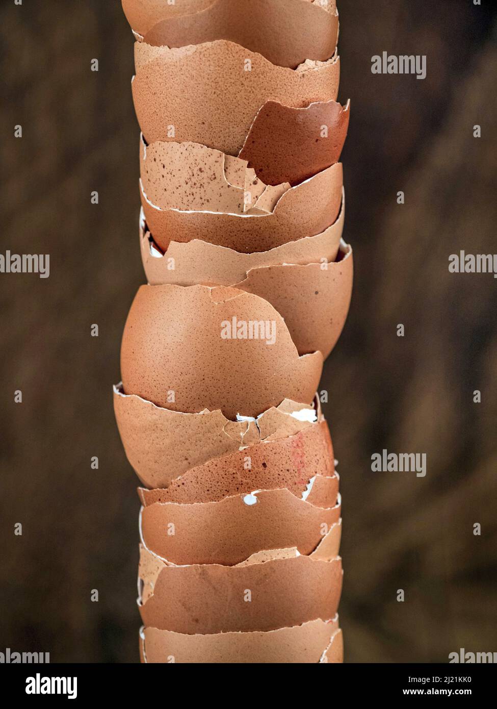 Pile of empty egg shells Stock Photo Alamy