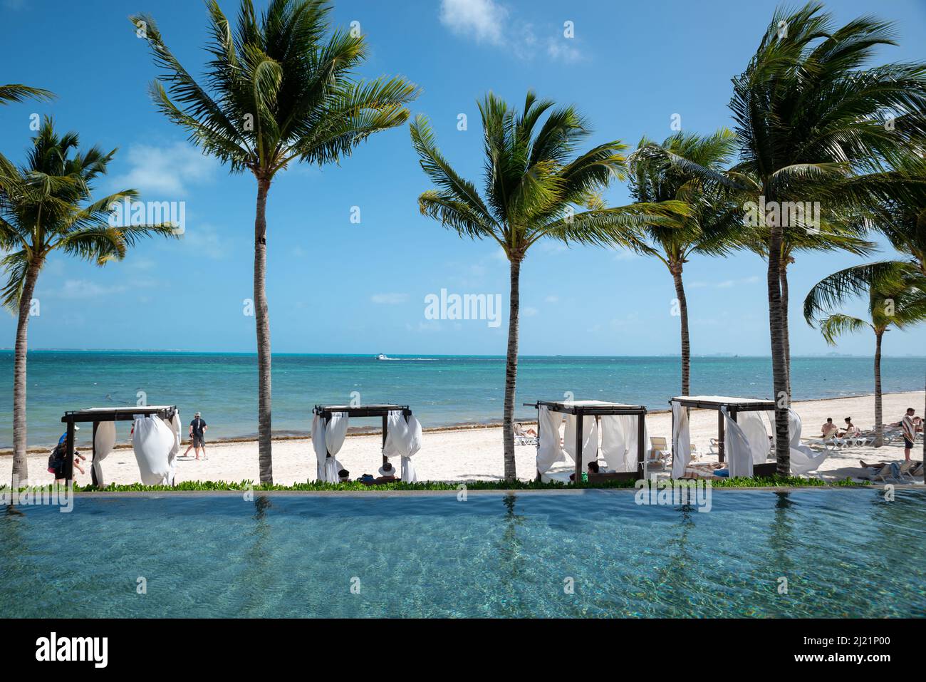 Coconut palm trees on the beach in tropical island Stock Photo