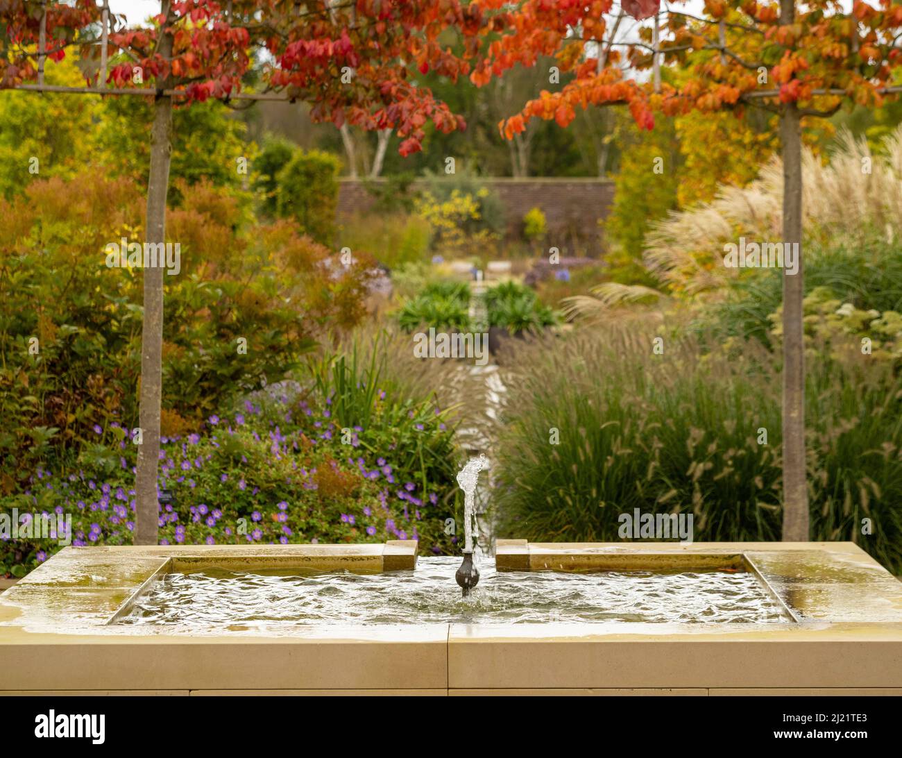 Fountain in Paradise