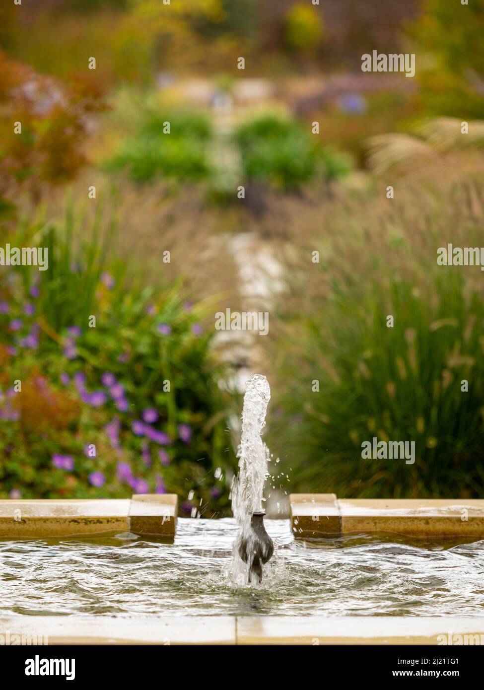 Fountain in Paradise