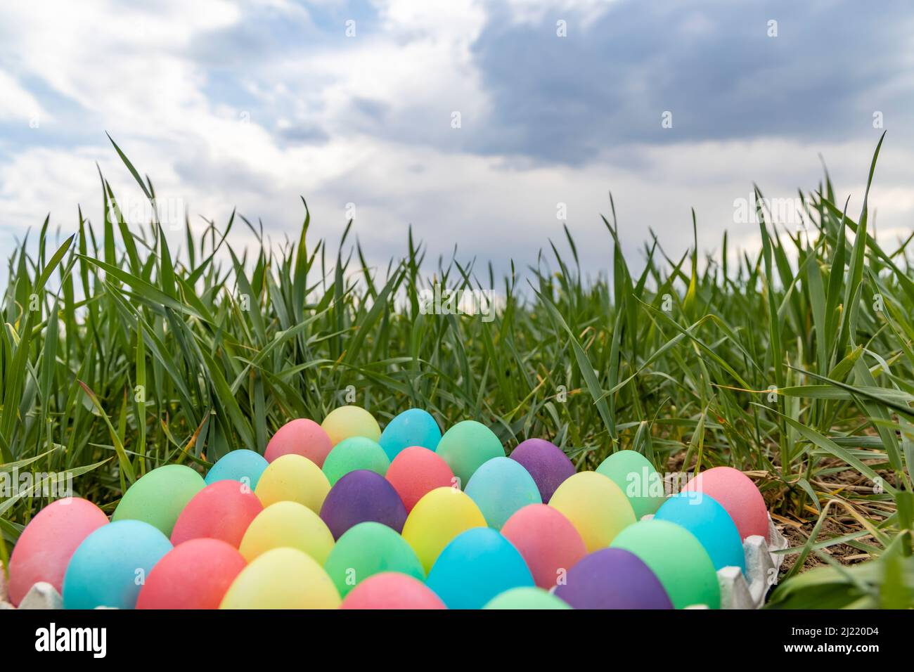 Easter still life with colored eggs Stock Photo - Alamy