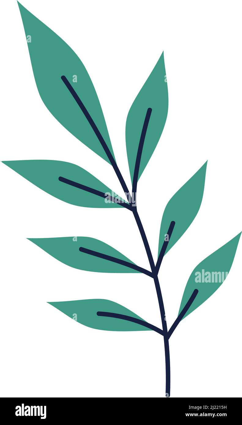 branch with leafs Stock Vector Image & Art - Alamy