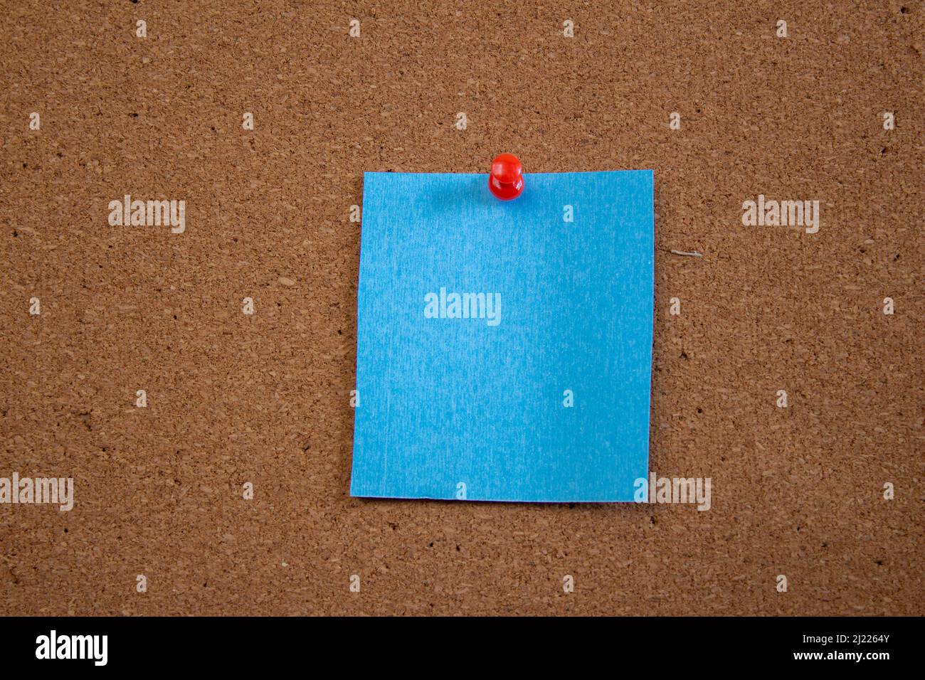 Blank paper on cork board. Stock Photo