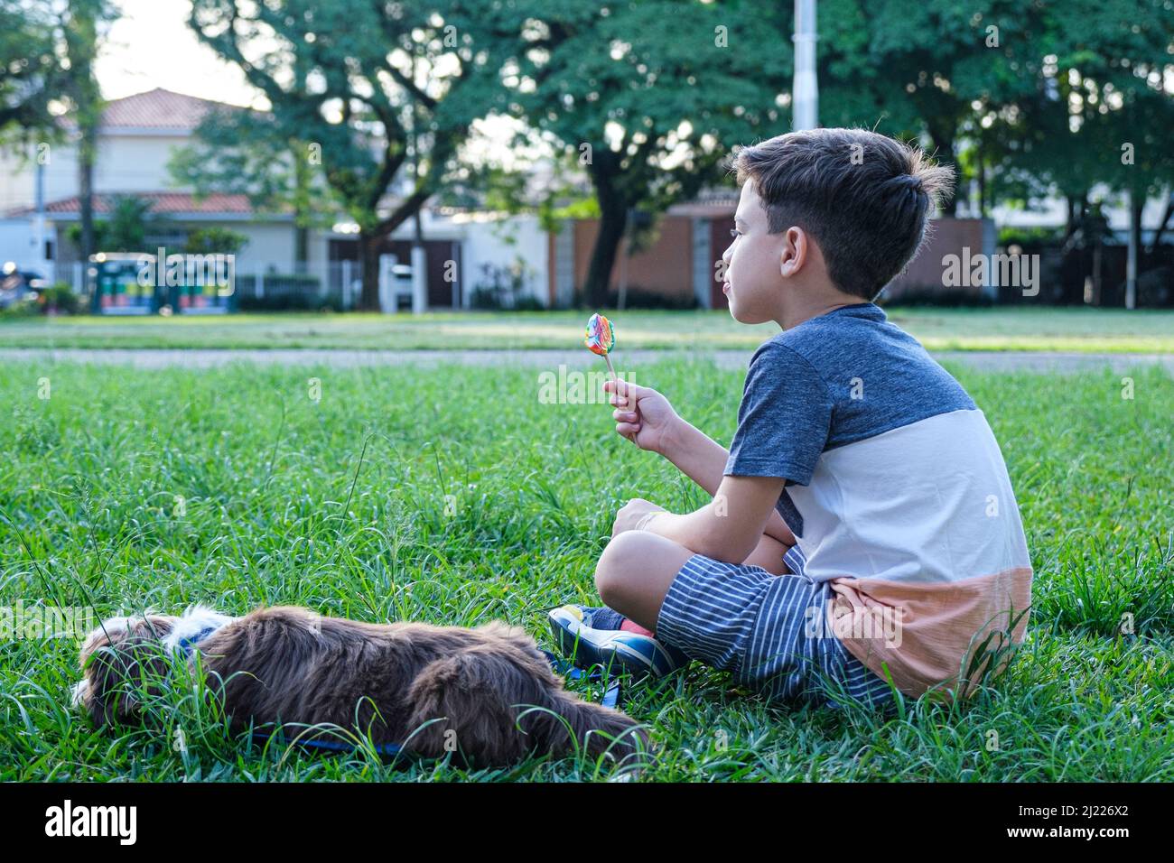 8 year old boy looking forward, sitting on the lawn next to his pet and holding a lollipop. Stock Photo