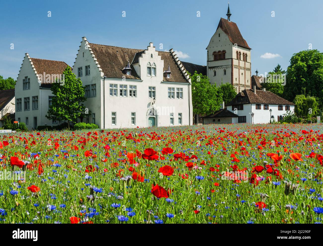 Reichenau Abbey with blooming poppy field, Reichenau Island, Lake Constance, Germany Stock Photo
