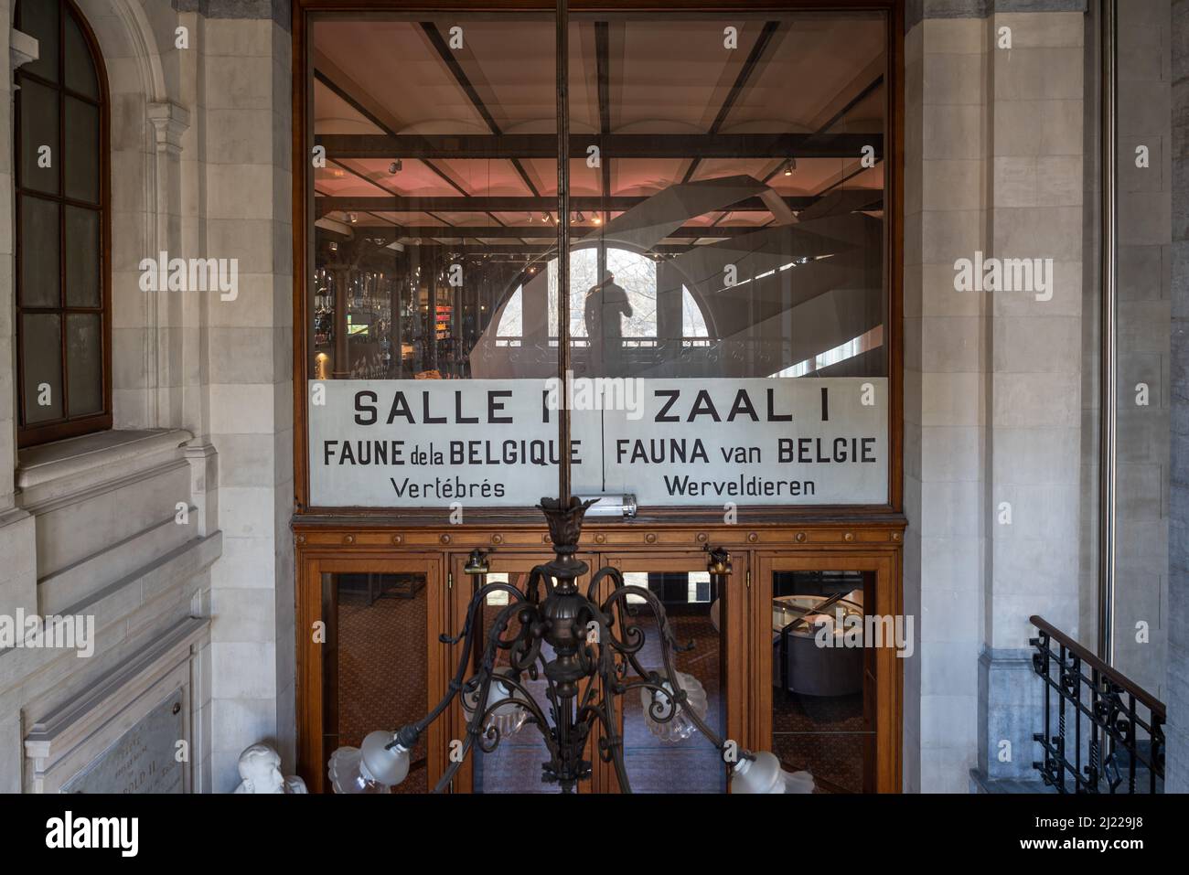 Brussels Capital Region - Belgium, 03 19 2022 - Entrance of the main hall of the museum of Natural Science Stock Photo