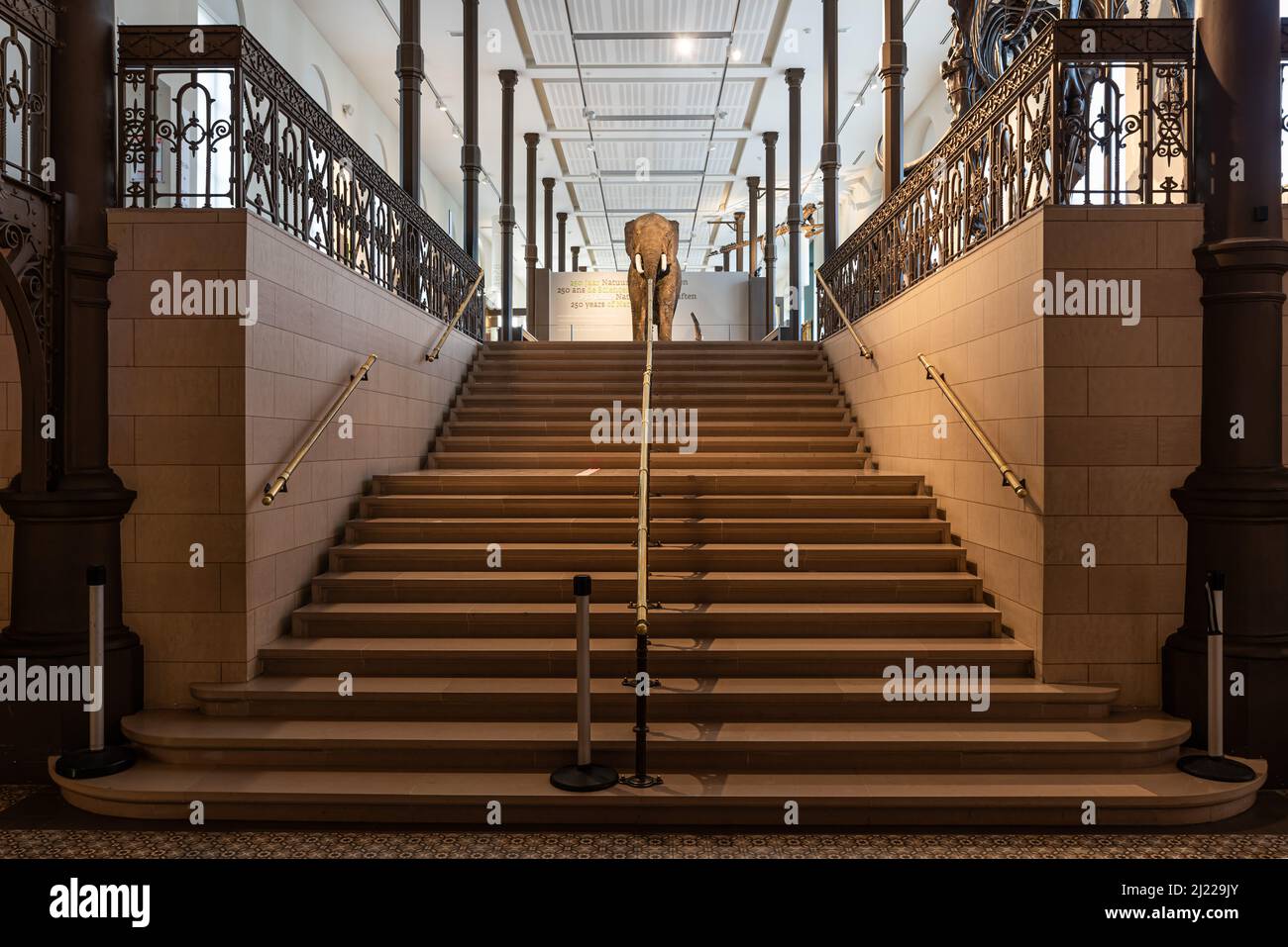 Brussels Capital Region - Belgium, 03 19 2022 - Symmetric munumental staircase at the museum for Natural Science Stock Photo