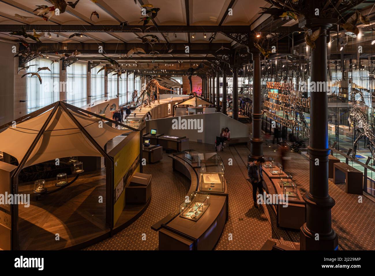 Brussels Capital Region - Belgium, 03 19 2022 - Art deco interior with wooden ornaments of the main exposition hall of the museum of Natural Science Stock Photo