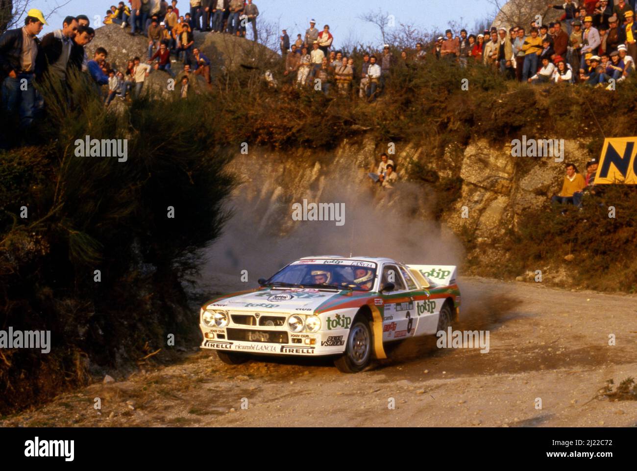 Totip biasion hi-res stock photography and images - Alamy