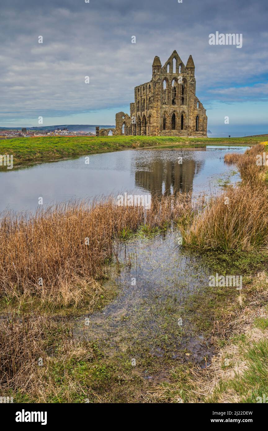 The ruins of St Hilda's Church in Whitby, Yorkshire better known as ...