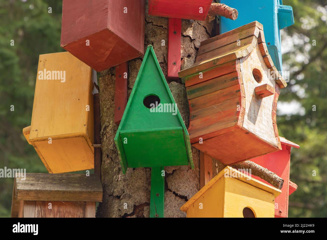 Collection of colorful wooden birdhouses Stock Photo - Alamy