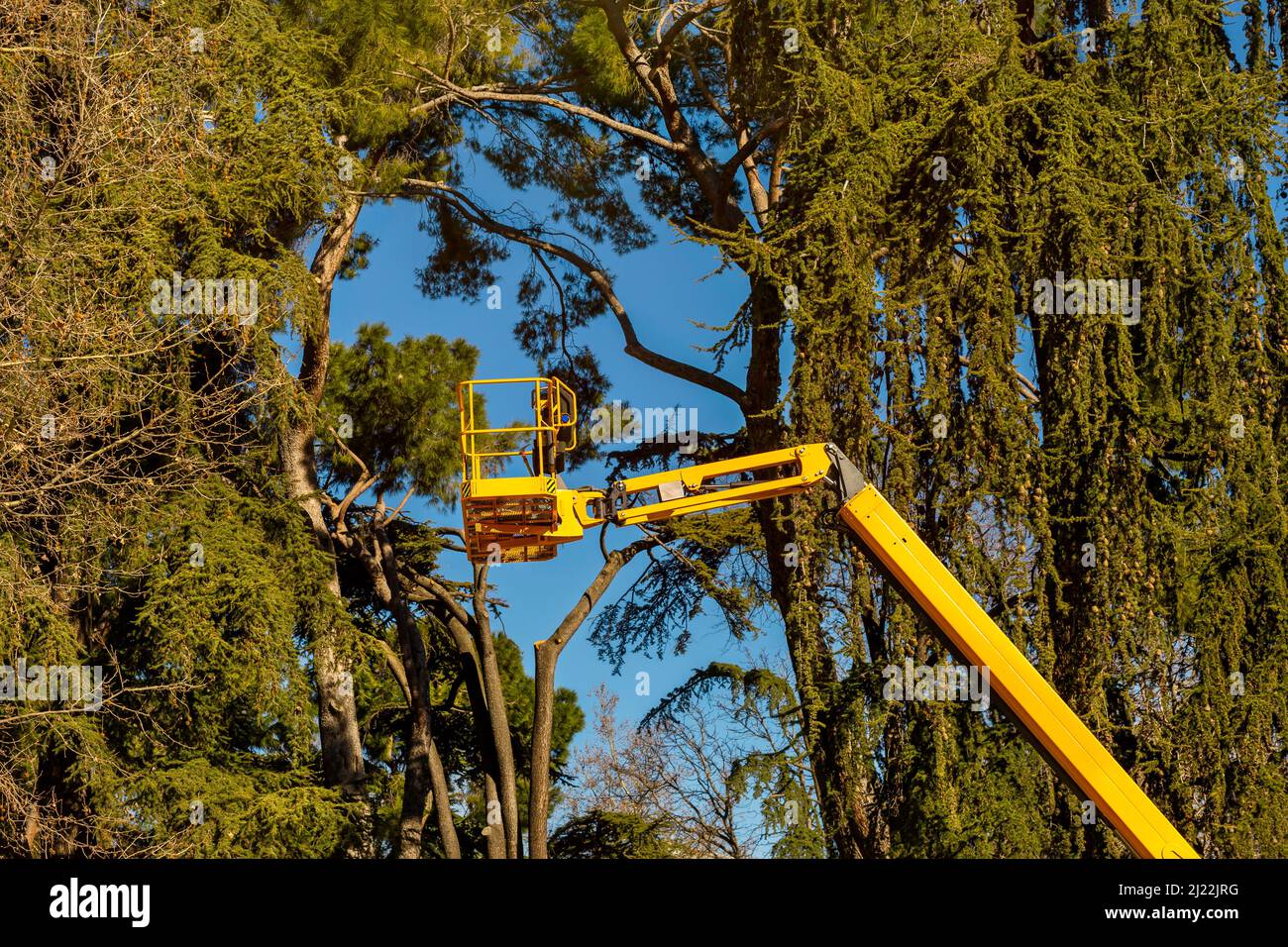 gardening machinery for pruning trees Stock Photo
