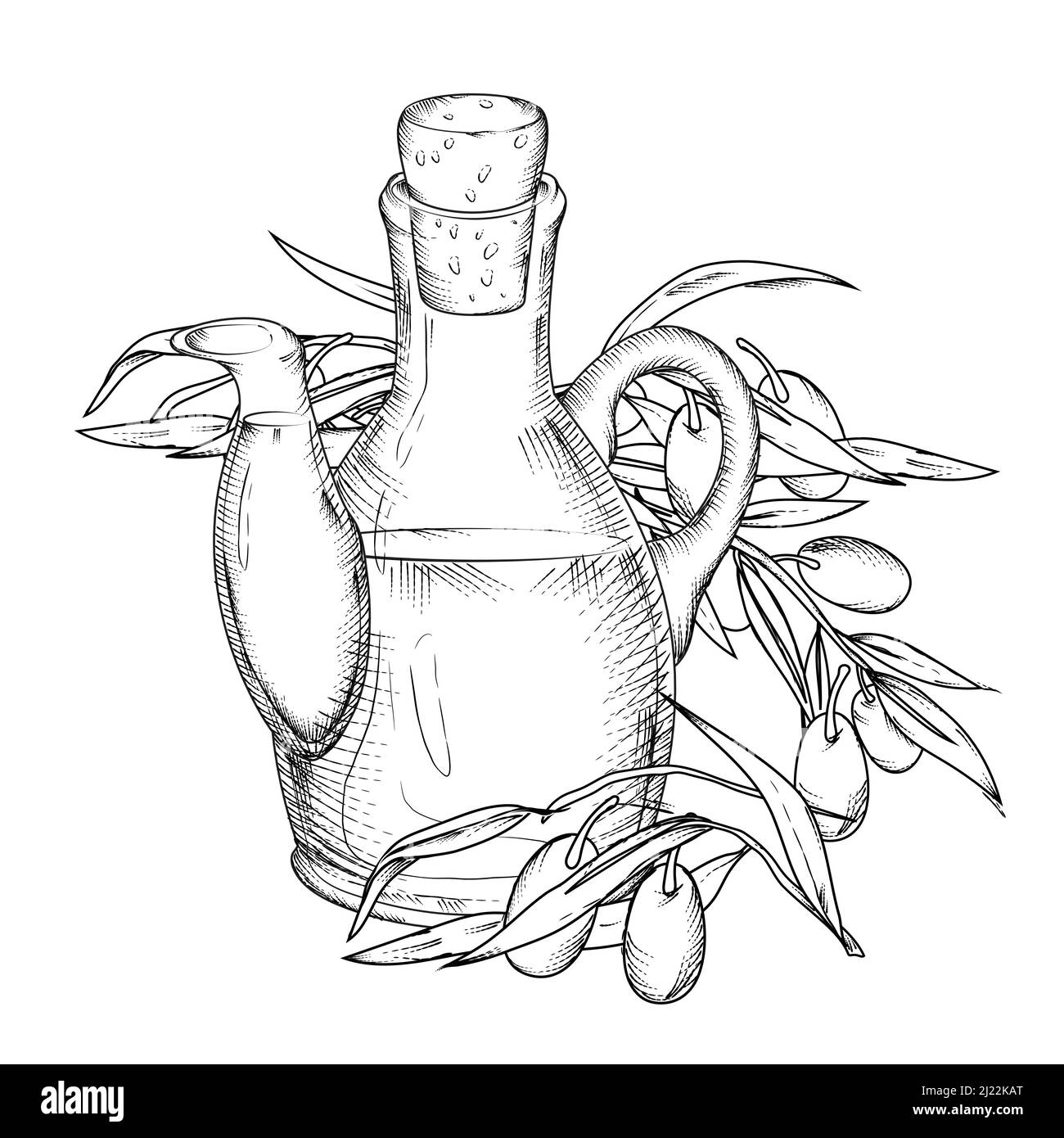 Olive oil bottle or glass jug and olives branches, hand drawn engraving ...
