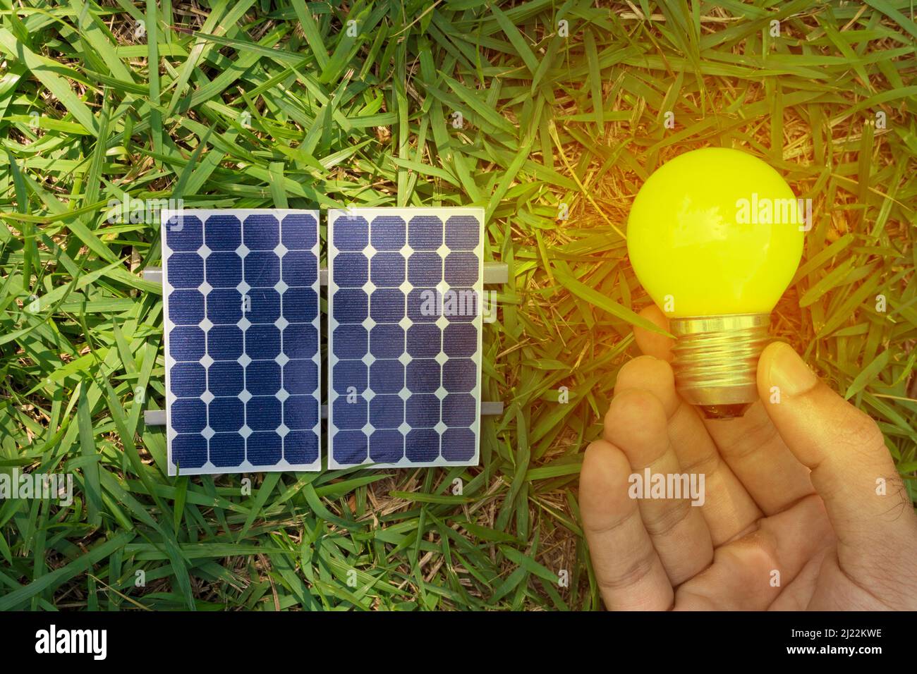 Holding a lamp next to a photovoltaic solar panel on grass background ...