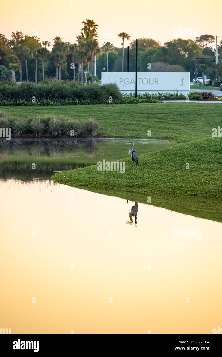 PGA TOUR Global Headquarters at sunrise in Ponte Vedra Beach, Florida. (USA) Stock Photo