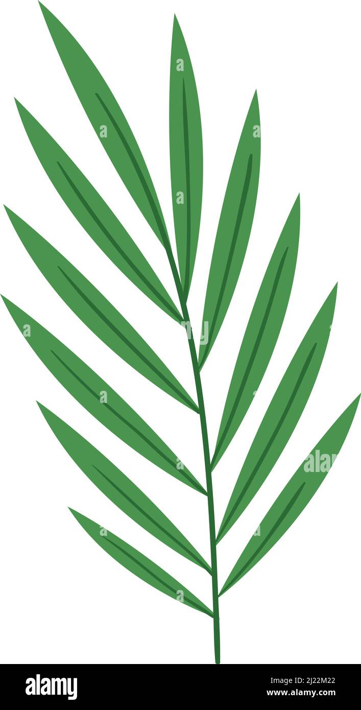 exotic leaf palm Stock Vector Image & Art - Alamy