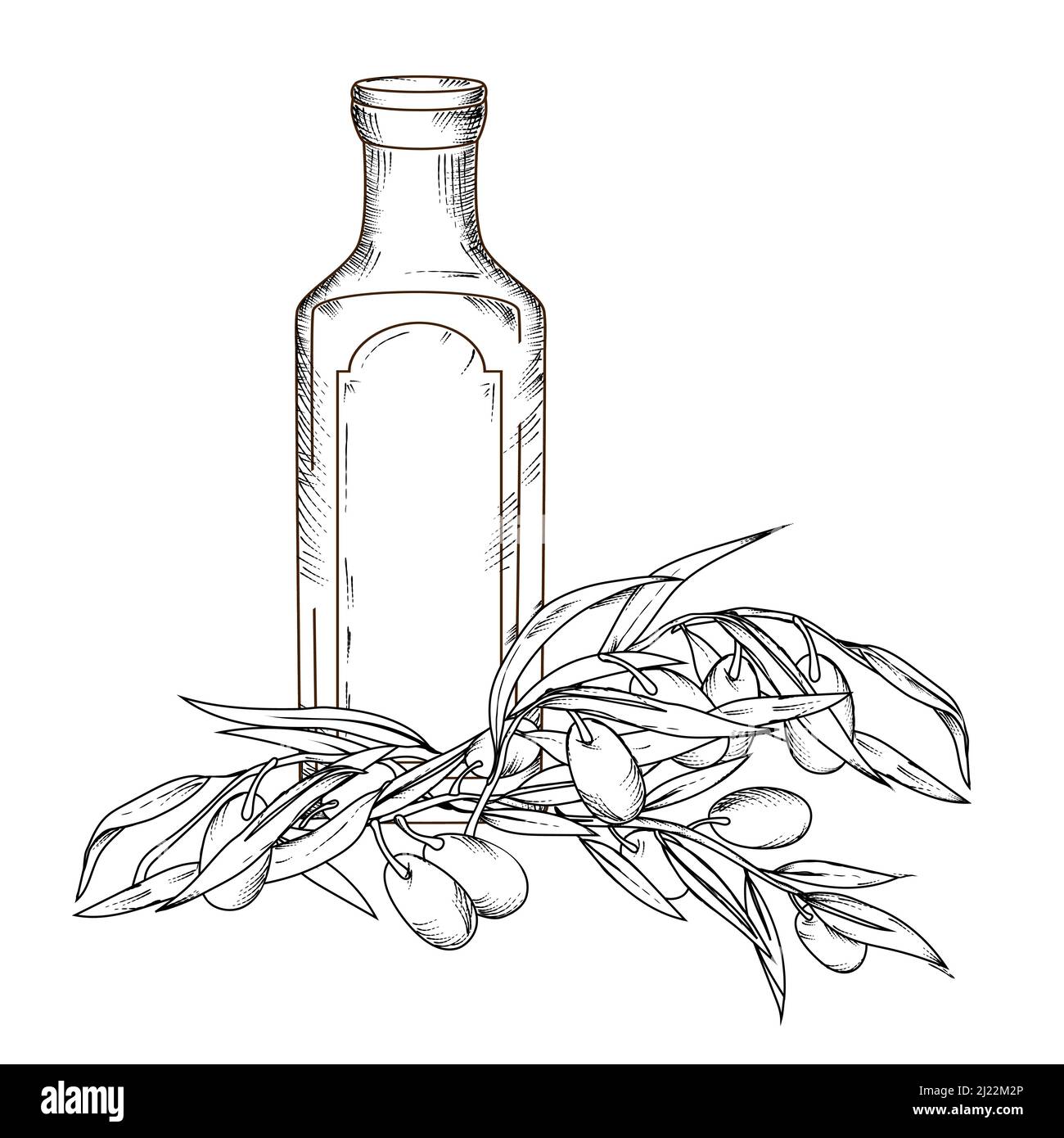 Olive oil bottle and olives, hand drawn engraving vector illustration isolated Stock Vector