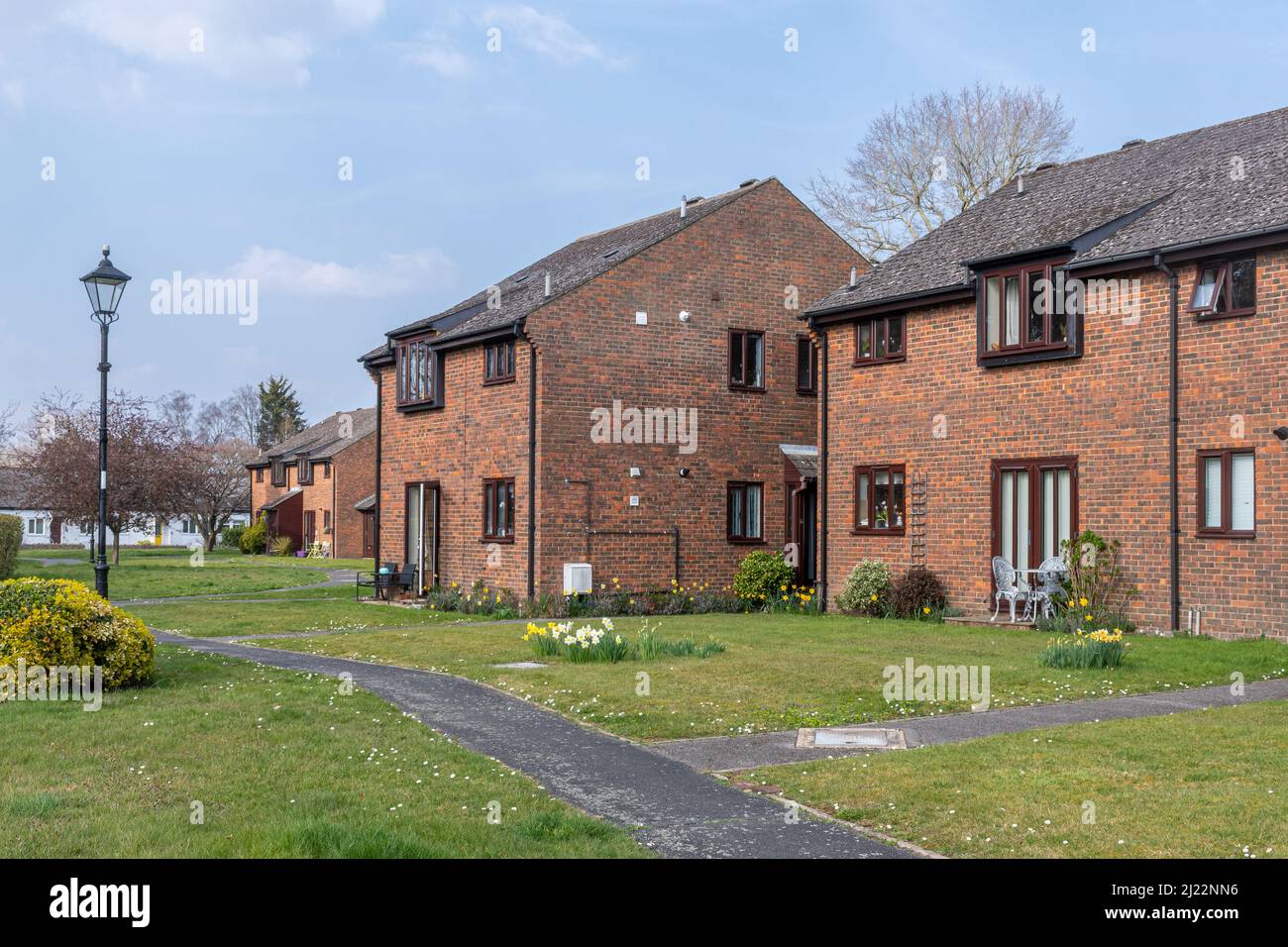 New houses on Chiltlee Manor Estate with lawns and gardens, Liphook village, Hampshire, England, UK Stock Photo