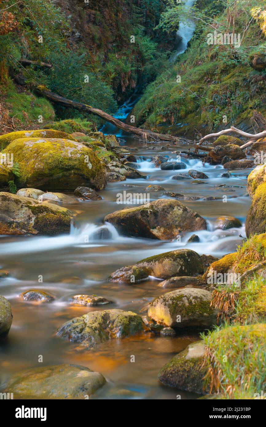 A vertical shot of a beautiful river with many rocks in Dublin ...