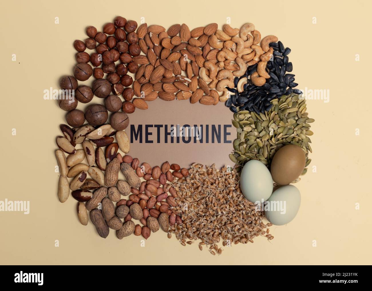Foods rich in methionine. Natural sources of methionine are various