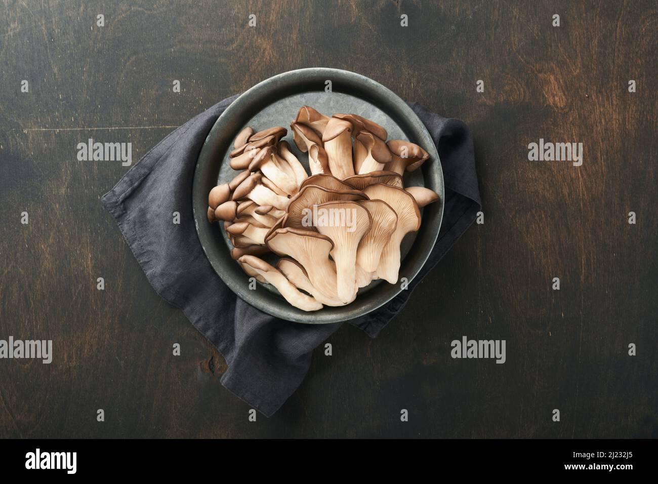 Grey oyster mushroom hires stock photography and images Alamy