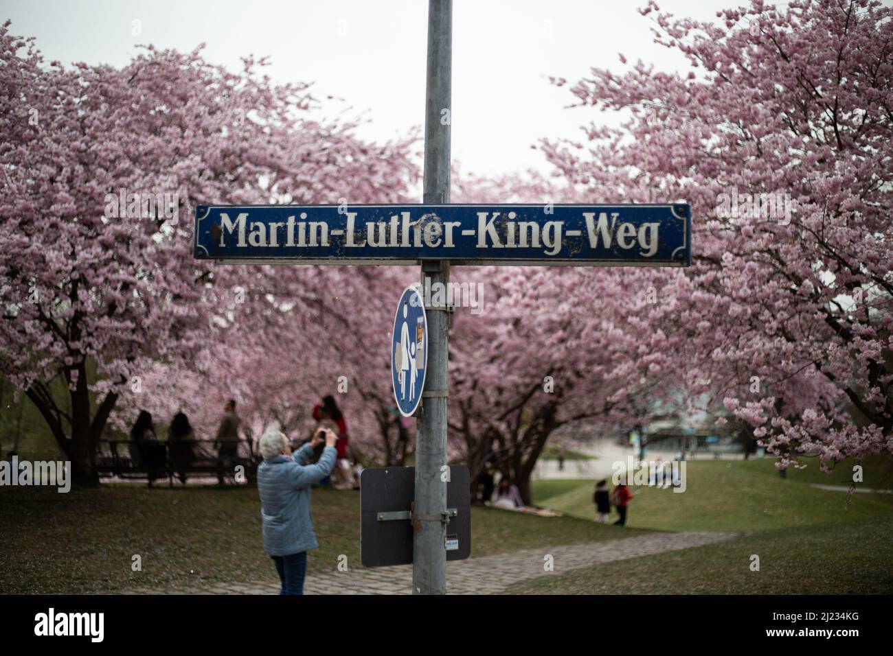 Munich, Germany. 29th Mar, 2022. Martin Luther King road. Many people gather in the Olympic park in Munich, Germany on March 29, 2022 at the cherry blossoms. In the japanese culture the time of the cherry blossom is a highlight of the calendar and the beginning of the spring. (Photo by Alexander Pohl/Sipa USA) Credit: Sipa USA/Alamy Live News Stock Photo