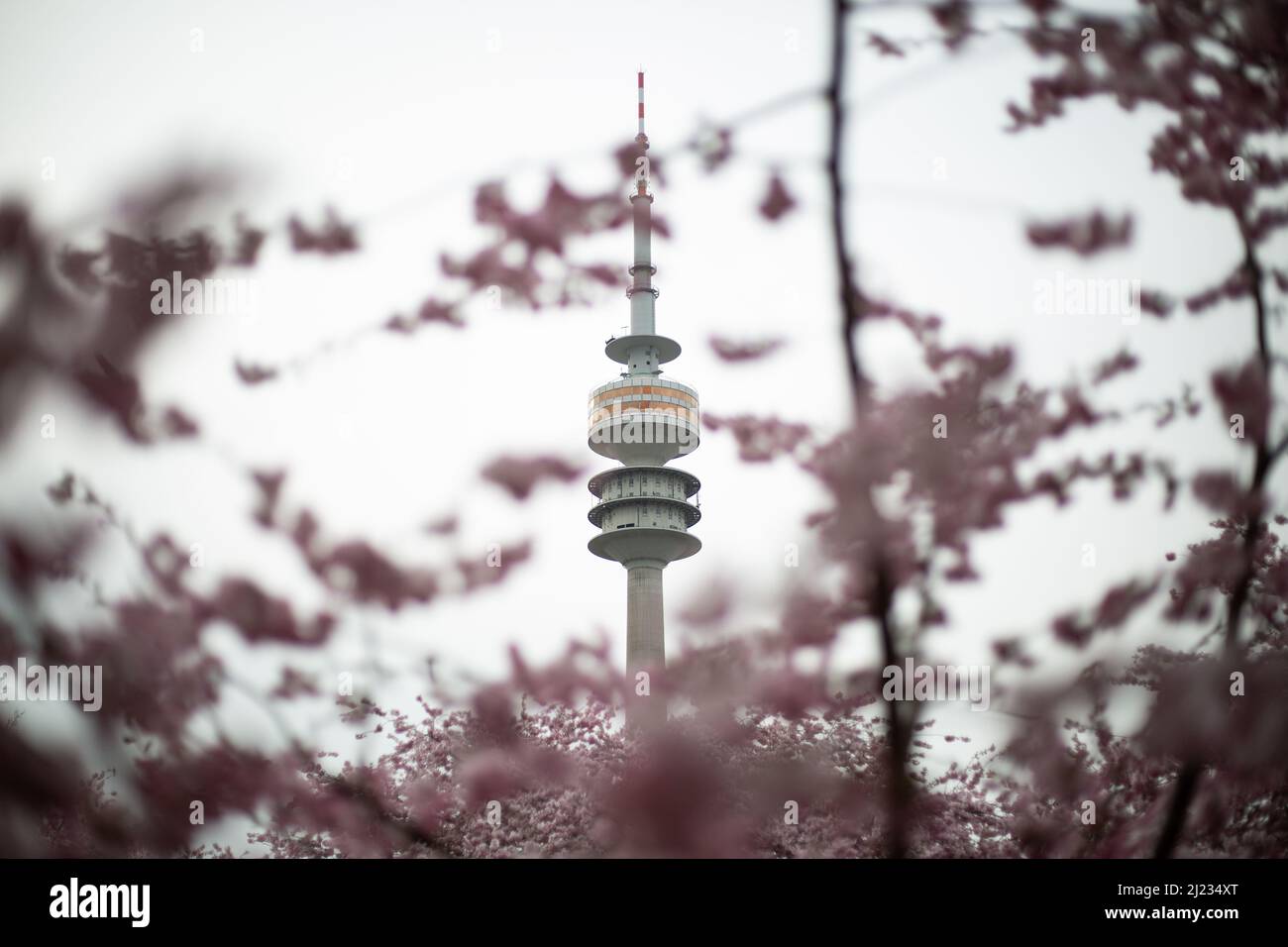 Munich, Germany. 29th Mar, 2022. View on the Olympic Tower. Many people gather in the Olympic park in Munich, Germany on March 29, 2022 at the cherry blossoms. In the japanese culture the time of the cherry blossom is a highlight of the calendar and the beginning of the spring. (Photo by Alexander Pohl/Sipa USA) Credit: Sipa USA/Alamy Live News Stock Photo