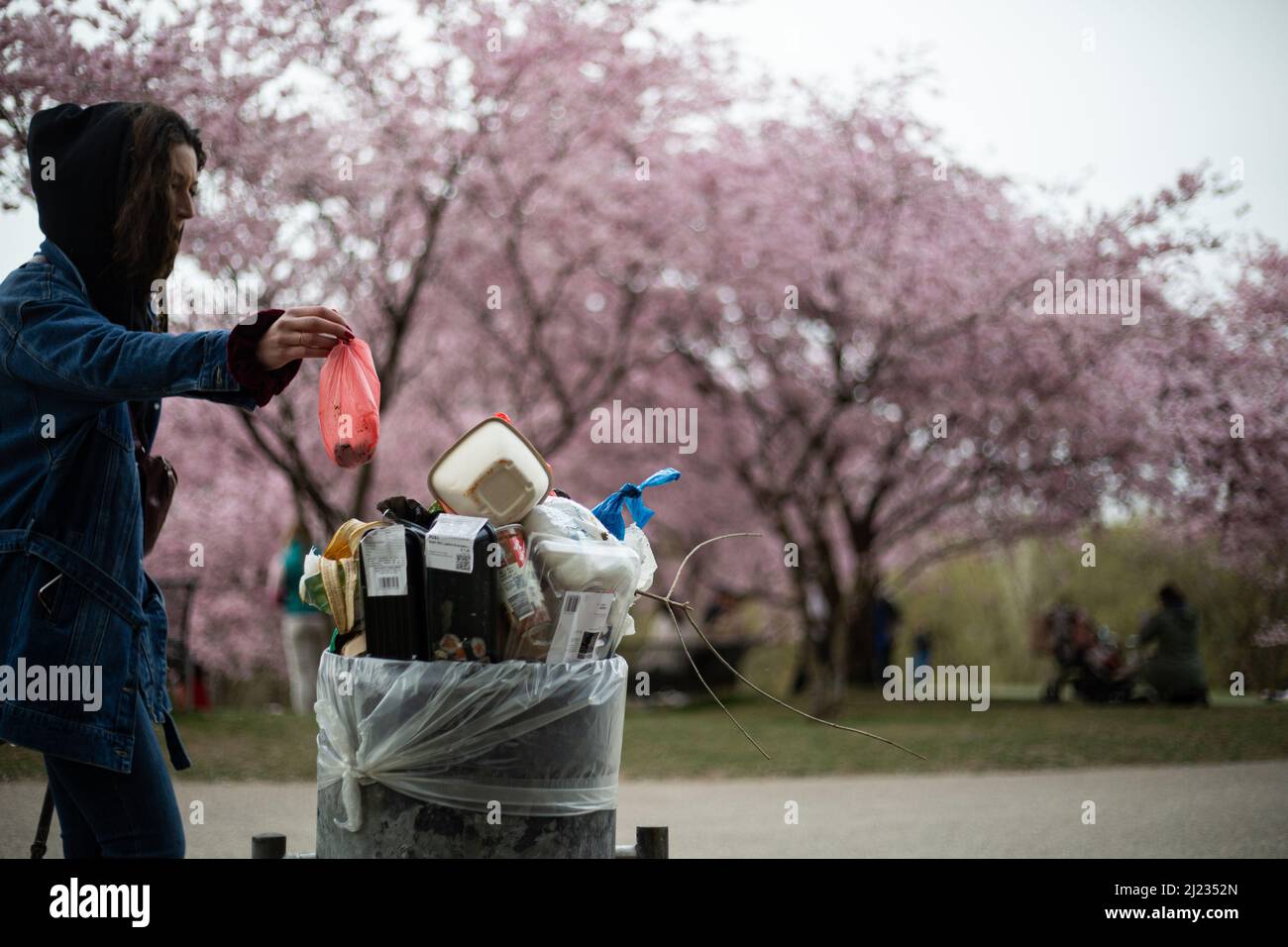 Munich, Germany. 29th Mar, 2022. Many people gather in the Olympic park in Munich, Germany on March 29, 2022 at the cherry blossoms. In the japanese culture the time of the cherry blossom is a highlight of the calendar and the beginning of the spring. (Photo by Alexander Pohl/Sipa USA) Credit: Sipa USA/Alamy Live News Stock Photo