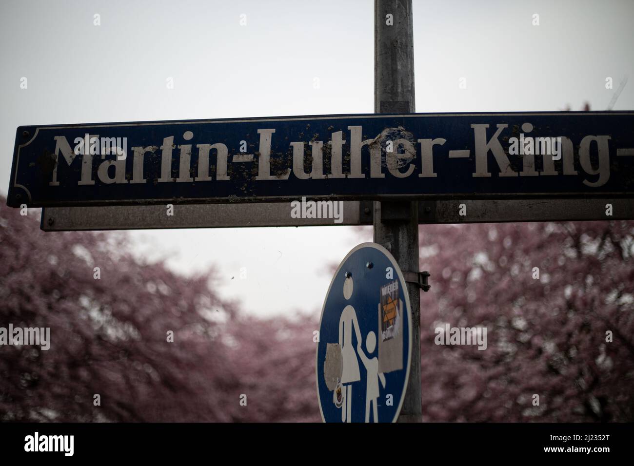 Munich, Germany. 29th Mar, 2022. Martin Luther King road. Many people gather in the Olympic park in Munich, Germany on March 29, 2022 at the cherry blossoms. In the japanese culture the time of the cherry blossom is a highlight of the calendar and the beginning of the spring. (Photo by Alexander Pohl/Sipa USA) Credit: Sipa USA/Alamy Live News Stock Photo