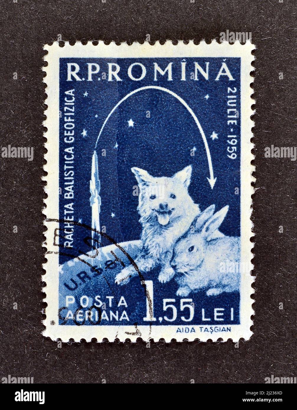 Cancelled postage stamp printed by Romania, that shows Dog, Rabbit 